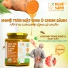 Nghệ tươi mật ong ủ chum sành 500ml - giàu Curcumin xương khớp giảm giá 195k