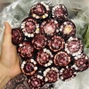 Ngô tím Đặc sản Điện Biên 1kg - Thơm ngon, giá ưu đãi 99.000đ (126.720đ) 2
