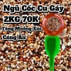 Ngũ Cốc Chim Cu Gáy 2KG - 63K, tặng muỗng, giàu khoáng, giảm giá đặc biệt