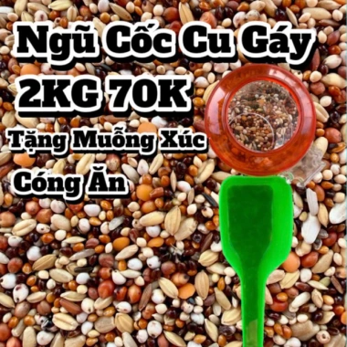 Ngũ Cốc Chim Cu Gáy 2KG - 63K, tặng muỗng, giàu khoáng, giảm giá đặc biệt