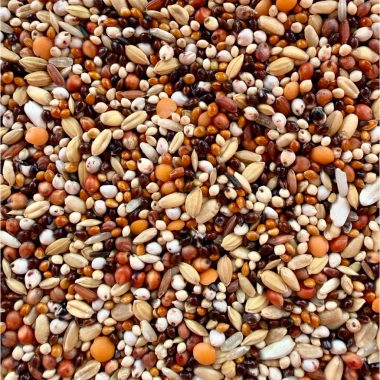 Ngũ Cốc Chim Cu Gáy 2KG - 63K, tặng muỗng, giàu khoáng, giảm giá đặc biệt