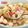 Ngũ Cốc Trái Cây Calbee Nhật Bản 400-600g Ít Đường Ăn Sáng Healthy Trắng Đỏ Giá Ưu Đãi 154.999₫ 6