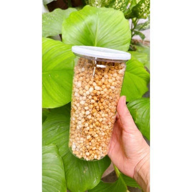Ngũ Cốc Yến Mạch Nổ Giòn 300g - Mật Ong Nướng Ăn Liền Giảm Cân, Giá 81.400₫