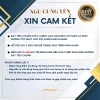 Ngự Cung Yến Sài Gòn Combo Yến Chưng Người Ăn Kiêng 6/10/15/25 Hũ 70ml Quà 2.026 9