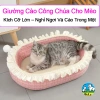 Nhà Mèo Công Chúa 2 trong 1 – Bàn Cào Móng, Ngọc Trai, Váy Xòe cho Mèo Con & Lớn