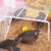 Nhà sàn cầu thang cho gà rút, chim cút, chuột hamster, kệ thức ăn – giá chỉ 20.214 2