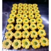 Nhân Bánh Dứa Đài Loan Sên Sẵn Classy Food 500gr - Giá chỉ 130.000₫, giảm mạnh 5