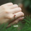 Nhẫn Diên Vĩ ngũ hành - Lấp lánh, thanh lịch, văn phòng Xanh Jewelry 598.000₫ 5