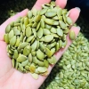 Nhân Hạt Bí Xanh Tách Vỏ 500g-1kg - Giàu Protein, Dinh Dưỡng, Giá Ưu Đãi 85K
