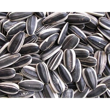 Nhân Hạt Hướng Dương 500g Đã Sấy Chín - Giảm Giá 85.000đ, Thơm Ngon, Dinh Dưỡng