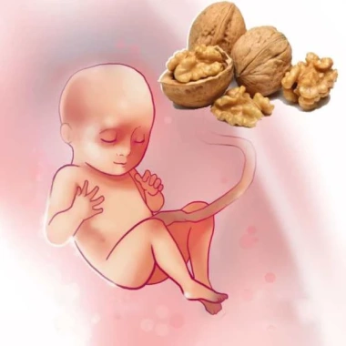Nhân Hạt Óc Chó Tamarind Úc 500g Giảm giá 180k, vị chua ngọt thơm ngon