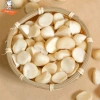Nhân Macca Bể Đôi 500gr Sấy Lạnh Ăn Liền - Hạt Tách Vỏ Hữu Cơ Lâm Đồng SaiGon 615.600₫ 2