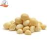 Nhân Macca Bể Đôi 500gr Sấy Lạnh Ăn Liền - Hạt Tách Vỏ Hữu Cơ Lâm Đồng SaiGon 615.600₫ 3