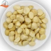 Nhân Macca Bể Đôi 500gr Sấy Lạnh Ăn Liền - Hạt Tách Vỏ Hữu Cơ Lâm Đồng SaiGon 615.600₫ 4