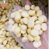 Nhân Macca Bể Đôi 500gr Sấy Lạnh Ăn Liền - Hạt Tách Vỏ Hữu Cơ Lâm Đồng SaiGon 615.600₫ 5