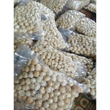 Nhân macca đã tách vỏ 500g HADIFOOD - Đắk Lắk, giá chỉ 85.000 VND, giảm từ 105.400 VND 3