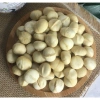 Nhân macca Đăk Lăk vỡ chín sạch thơm béo 500gr hút chân không Giá 89.000 VND 7