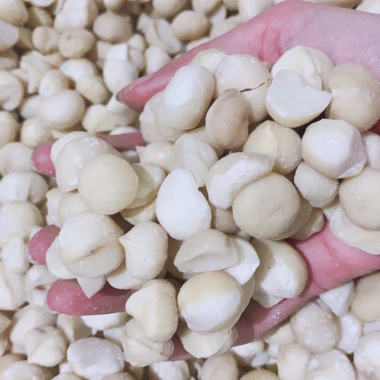 Nhân macca Daklak sấy chín 500g Ăn liền, làm sữa, làm bánh - Giá ưu đãi 225.000 VND