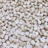 Nhân macca Daklak sấy chín 500g Ăn liền, làm sữa, làm bánh - Giá ưu đãi 225.000 VND 2