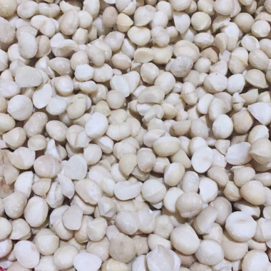 Nhân macca Daklak sấy chín 500g Ăn liền, làm sữa, làm bánh - Giá ưu đãi 225.000 VND