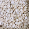 Nhân macca Daklak sấy chín 500g Ăn liền, làm sữa, làm bánh - Giá ưu đãi 225.000 VND 4