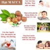 Nhân Macca Nguyên Hạt Loại 1 To Giòn Thơm - Hạt Macca Đã Tách Vỏ Ngon OneFood68 3