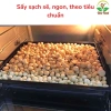 Nhân Macca Nguyên Hạt Loại 1 To Giòn Thơm - Hạt Macca Đã Tách Vỏ Ngon OneFood68 6