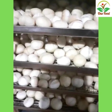 Nhân Macca Nguyên Hạt Loại 1 To Giòn Thơm - Hạt Macca Đã Tách Vỏ Ngon OneFood68 7