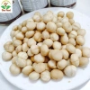 Nhân Macca Nguyên Hạt Loại 1 To Giòn Thơm - Hạt Macca Đã Tách Vỏ Ngon OneFood68 9