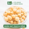 Nhân Macça Sạch Tươi 500g - Nguyên liệu làm sữa thơm ngon, giá ưu đãi 159.000đ (giá gốc 197.160đ) 2