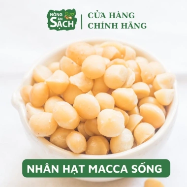 Nhân Macça Sạch Tươi 500g - Nguyên liệu làm sữa thơm ngon, giá ưu đãi 159.000đ (giá gốc 197.160đ) 2