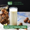 Nhân Macça Sạch Tươi 500g - Nguyên liệu làm sữa thơm ngon, giá ưu đãi 159.000đ (giá gốc 197.160đ) 3