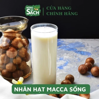 Nhân Macça Sạch Tươi 500g - Nguyên liệu làm sữa thơm ngon, giá ưu đãi 159.000đ (giá gốc 197.160đ) 3