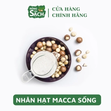 Nhân Macça Sạch Tươi 500g - Nguyên liệu làm sữa thơm ngon, giá ưu đãi 159.000đ (giá gốc 197.160đ) 5