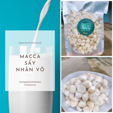 Nhân Macça Sạch Tươi 500g - Nguyên liệu làm sữa thơm ngon, giá ưu đãi 159.000đ (giá gốc 197.160đ) 8