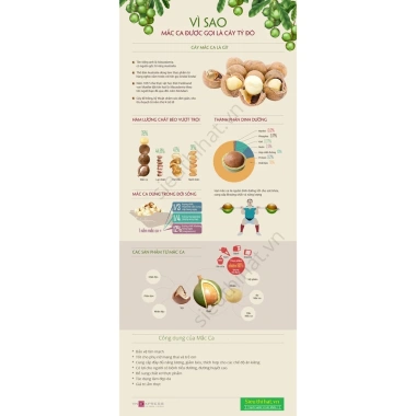 Nhân Macça Sạch Tươi 500g - Nguyên liệu làm sữa thơm ngon, giá ưu đãi 159.000đ (giá gốc 197.160đ) 9