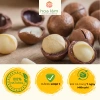 Nhân macca sấy lạnh Hoa Lâm 500g - Giàu dinh dưỡng, làm sữa hạt, nấu ăn, giá 530.000₫ 4