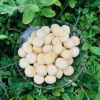 Nhân Macca Size Đại 500gr Loại 1 - Giá 181.500đ, Cam Kết chất lượng Thanh Nhàn 5