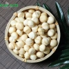 Nhân macca Úc chuẩn 500g loại vỡ - Giảm giá 40k, chất lượng cao, giàu dinh dưỡng