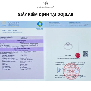 Nhẫn Moissanite 0,5ct Caterina Diamond Solitaire Pavé DR025 - Kiểm định GRA, giảm giá 22% chỉ 1.55 triệu