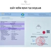 Nhẫn Moissanite 0,8 Carat Caterina Solitaire DR018 - Kiểm định GRA, 1,650,000₫ 2