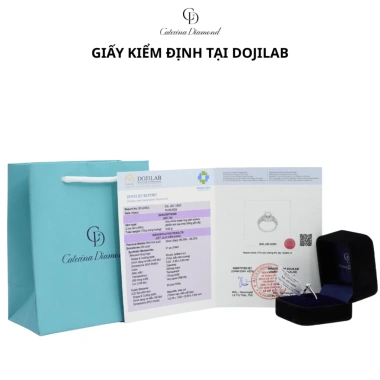 Nhẫn Moissanite 0,8 Carat Caterina Solitaire Pavé DR023 Kiểm định GRA 3,89 triệu
