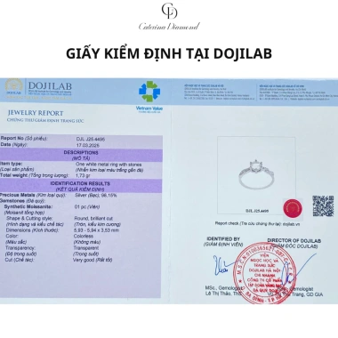Nhẫn Moissanite 0,8ct Caterina Solitaire Pavé DR026 - Kiểm định GRA, giảm còn 1,55tr