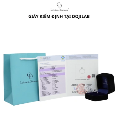 Nhẫn Moissanite 1 Carat Caterina DR011 Kiểm định GRA - Solitaire sang trọng cho đám cưới, giảm còn 1.55 triệu