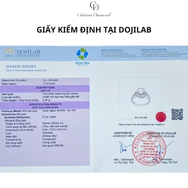 Nhẫn Moissanite 1.2 Carat Caterina Pavé DR027 - Kiểm định GRA, giá 2.49 triệu