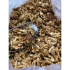Nhân óc chó đen 1kg nguyên khối không vỡ - Sữa hạt thơm ngon, chỉ 110.000₫ 6