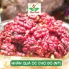 Nhân Óc Chó Đỏ Hartley Mỹ Nhập Khẩu - Hạt Óc Chó Đỏ Giòn Ngon, Nhân To, Giá 69k