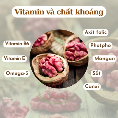Nhân Óc Chó Đỏ Sống Tách Vỏ 500g Thơm Ngon, Dinh Dưỡng Cho Bà Bầu và Trẻ Nhỏ - Tiệm Hạt Lành