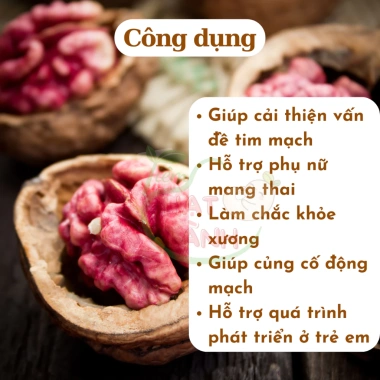 Nhân Óc Chó Đỏ Sống Tách Vỏ 500g Thơm Ngon, Dinh Dưỡng Cho Bà Bầu và Trẻ Nhỏ - Tiệm Hạt Lành 4 Nhân Óc Chó Đỏ Sống Tách Vỏ 500g Thơm Ngon, Dinh Dưỡng Cho Bà Bầu và Trẻ Nhỏ - Tiệm Hạt Lành 4