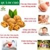 Nhân óc chó sấy chín Onefood68 500g – Óc chó Mỹ loại 1, giòn ngon, 75.000₫ 3